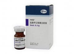 【开普拓】盐酸伊立替康注射液 价格¥1960.00 购买药店北京美信康年大药房 适应症晚期大肠癌